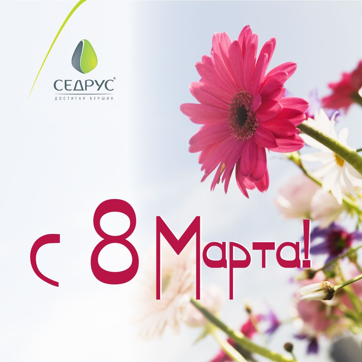 С 8 марта! С 8 марта!